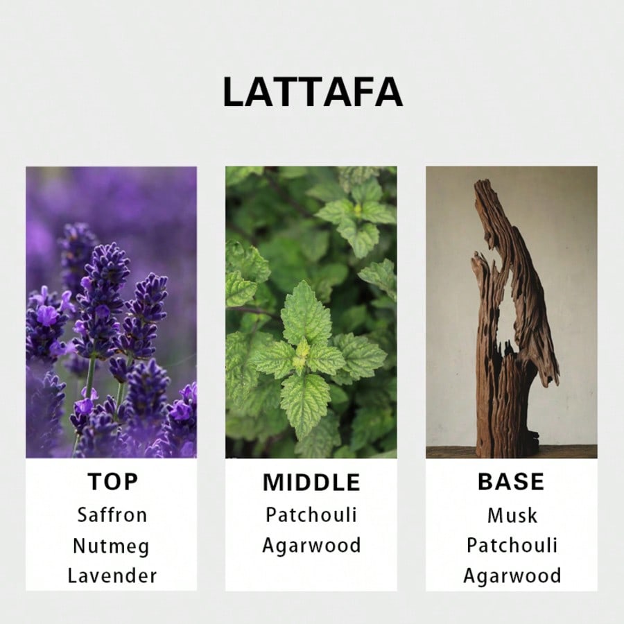 Lattafa Badee Al Oud For Glory - Perfume Fragrance Perfume avaliação e preço