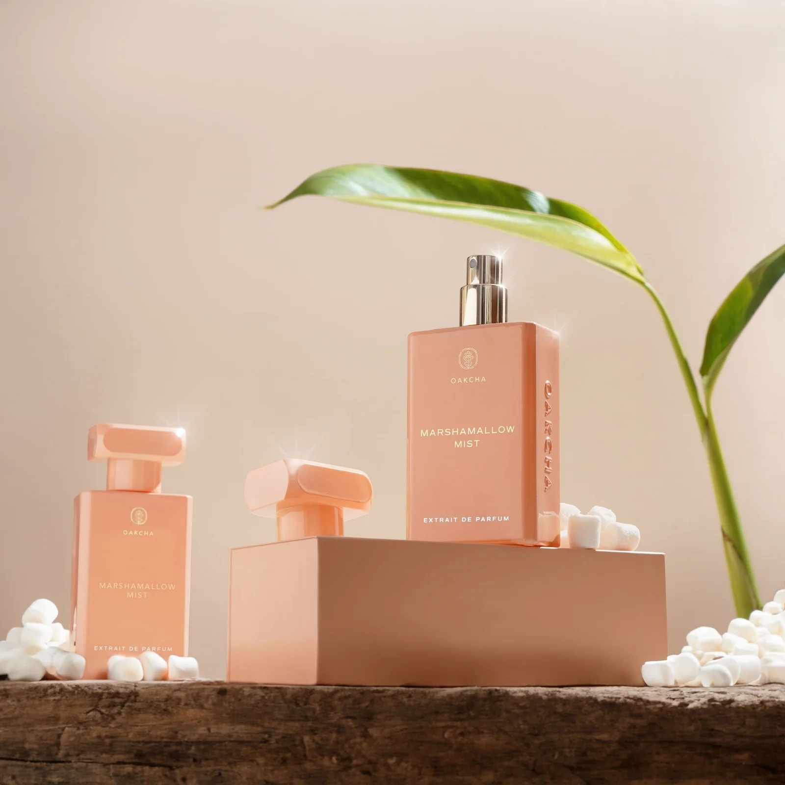 Perfume OAKCHA Marshmallow Mis - Perfume Juicy Fragrance avaliação e preço