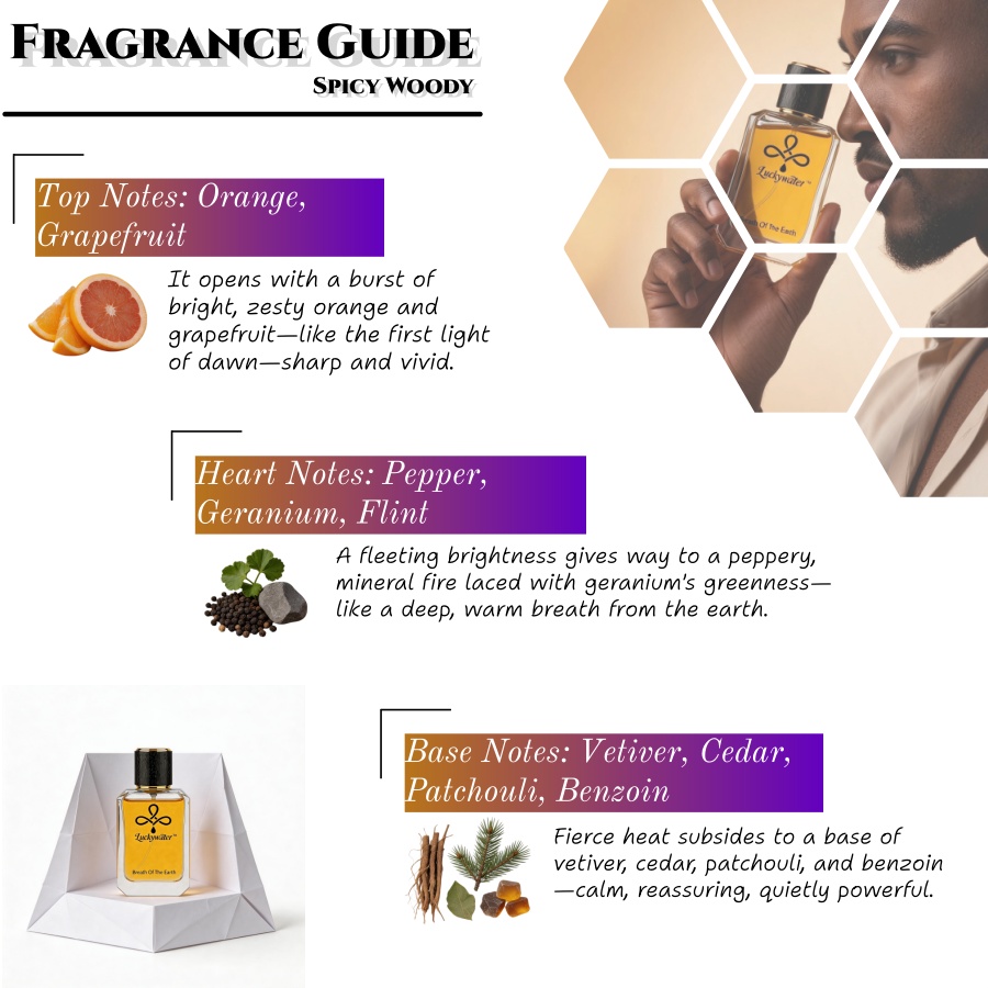 Colônia Masculina Premium de L - Perfume Fragrance Perfume avaliação e preço